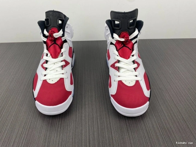 Carmine CT8529- Sleek 4032  Jordan6 1029